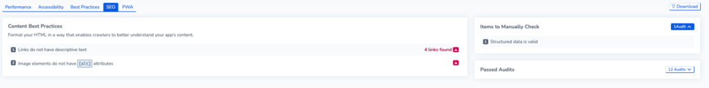 Screenshot showing SEO Audits