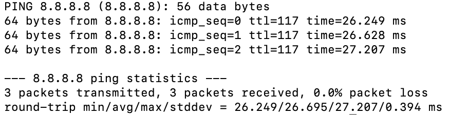 Ping test output