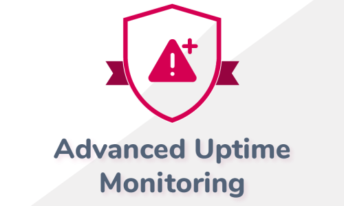 Advanced Uptime Monitoring