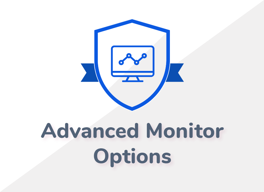 RapidSpike Advanced Monitor Options